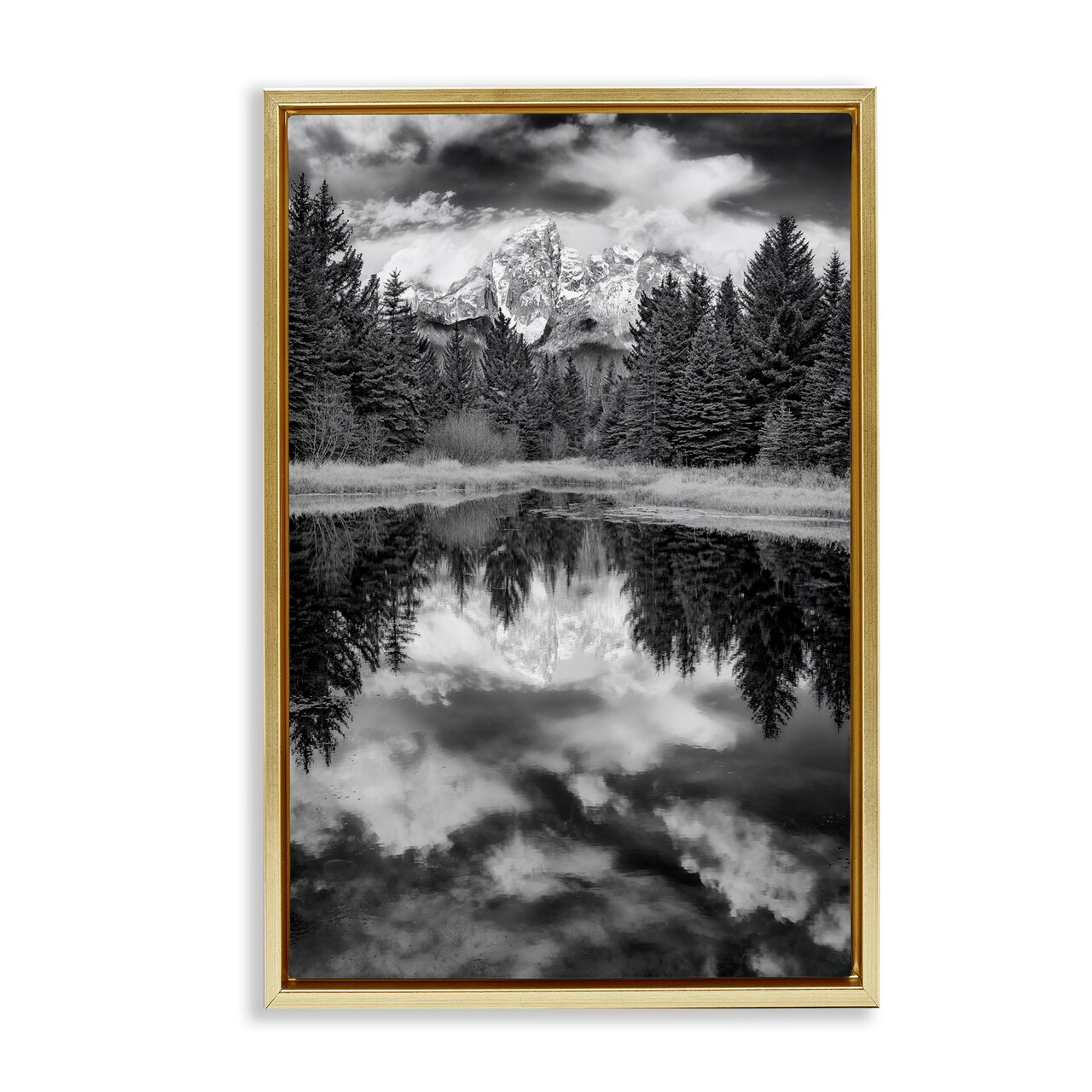 Stupell Industries Black & White Forest Reflection Framed Floater Canvas Wall Art Design by Rick Berk